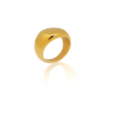 Δαχτυλίδι Garnet ανοξείδωτο χάλυβας σε χρώμα Χρυσό (N7)